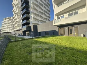 Pronájem bytu 1+kk, Brno, Komárovská, 50 m2