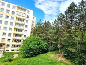 Pronájem bytu 1+kk, Ústí nad Labem, Obvodová, 32 m2