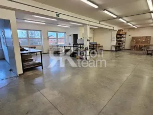 Prodej komerční nemovitosti, Opava, Slezská, 1385 m2