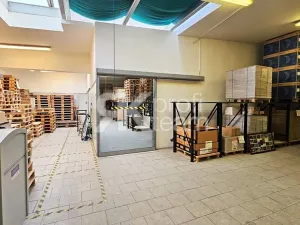 Prodej komerční nemovitosti, Opava, Slezská, 1385 m2