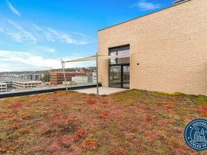 Pronájem bytu 2+kk, Praha - Vysočany, Fafkových, 54 m2