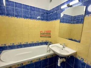 Pronájem bytu 1+1, Planá nad Lužnicí, Průmyslová, 39 m2