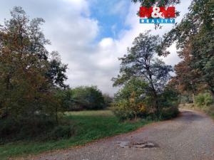 Prodej pole, Petrovice - Žemličkova Lhota, 1988 m2