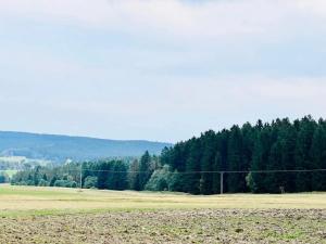 Prodej louky, Herálec, 35197 m2