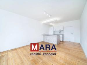 Pronájem bytu 1+kk, Olomouc, Aloise Rašína, 31 m2