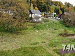 Prodej pozemku pro bydlení, Koberovy, 9985 m2