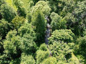 Prodej pozemku pro bydlení, Choustník, 114846 m2