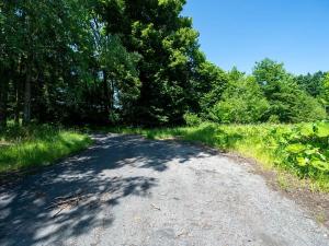 Prodej pozemku pro bydlení, Choustník, 114846 m2