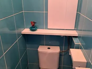 Pronájem bytu 4+1, Frýdek-Místek, Bezručova, 74 m2