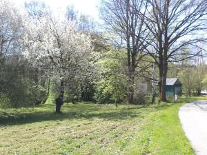 Dražba pozemku pro bydlení, Kamenná, 2542 m2