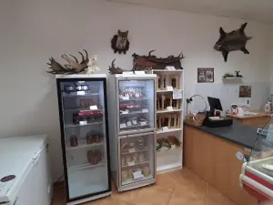 Pronájem obchodního prostoru, Prostějov, Svatoplukova, 48 m2