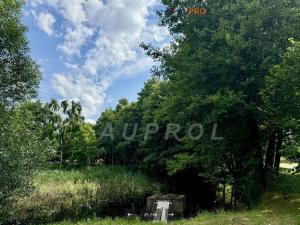 Prodej rodinného domu, Ostrov, 56 m2