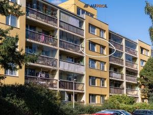 Prodej bytu 2+kk, Praha - Žižkov, Na rovnosti, 45 m2