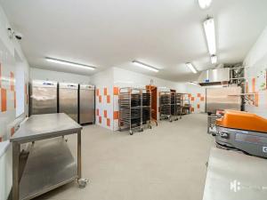 Pronájem výrobních prostor, Zlonín, Hlavní, 50 m2