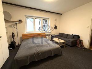 Pronájem bytu 1+1, Brno - Staré Brno, Nové sady, 48 m2