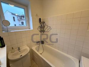 Pronájem bytu 1+1, Brno - Staré Brno, Nové sady, 48 m2