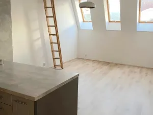 Pronájem bytu 3+kk, Děčín, Palackého, 83 m2