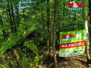 Prodej chaty, Rychnov nad Kněžnou, 25 m2