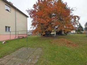 Pronájem bytu 3+1, Mnichovo Hradiště, 74 m2