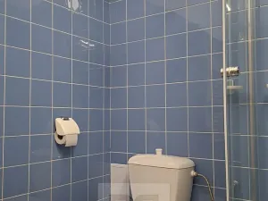 Pronájem bytu 1+kk, Praha - Podolí, U Kublova, 25 m2