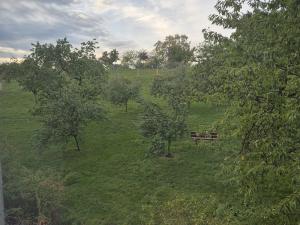 Pronájem kanceláře, Praha - Michle, Pod Stárkou