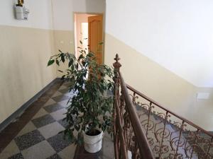 Pronájem bytu 2+1, Karlovy Vary, Pod Jelením skokem, 59 m2