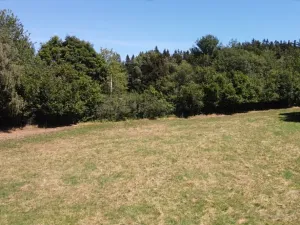 Dražba pole, Strašín, 33898 m2