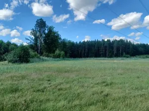 Dražba pozemku, Česká Lípa, 5369 m2