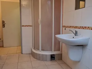 Pronájem bytu 1+kk, Brno, Josefská, 34 m2