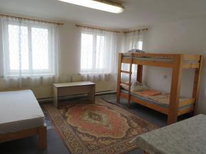 Prodej ubytování, Mladkov, 550 m2