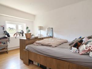 Prodej rodinného domu, Kamenná Horka, 273 m2