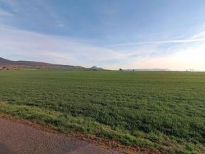 Prodej pole, Třebenice, 4348 m2