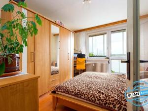 Pronájem bytu 2+1, Olomouc, Heyrovského, 58 m2