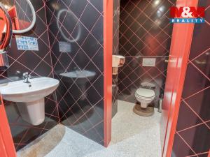 Pronájem obchodního prostoru, Praha - Troja, Olštýnská, 300 m2