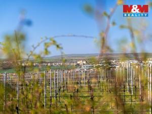 Prodej zahrady, Dobšice, 2462 m2