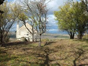 Prodej chaty, Židlochovice, 27 m2