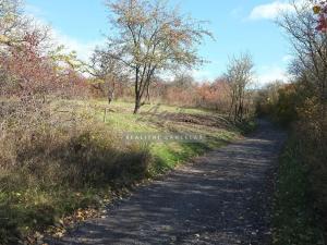 Prodej chaty, Židlochovice, 27 m2