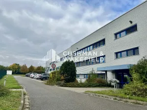 Prodej skladu, Hustopeče, 5500 m2