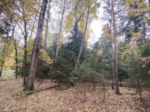 Prodej lesa, Srbice - Těšovice, 2923 m2