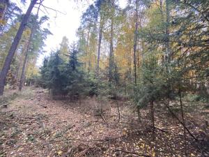 Prodej lesa, Srbice - Těšovice, 2923 m2