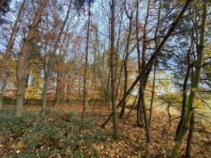 Prodej lesa, Srbice - Těšovice, 1109 m2