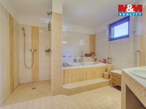 Prodej rodinného domu, Nevřeň, 174 m2