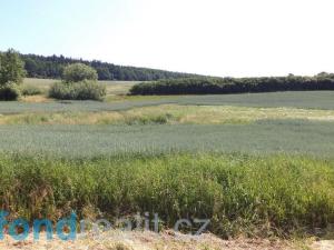 Prodej pozemku, Přeštěnice - Držkrajov, 3046 m2