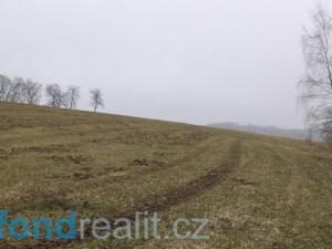 Prodej pole, Zvěstov, 51947 m2