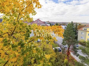 Pronájem bytu 2+kk, Praha - Podolí, V rovinách, 68 m2