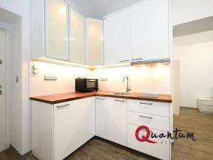 Pronájem bytu 1+1, Praha - Podolí, Sinkulova, 27 m2