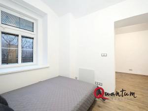 Pronájem bytu 1+1, Praha - Podolí, Sinkulova, 27 m2