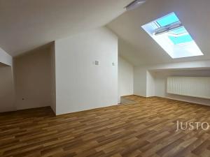 Prodej vícegeneračního domu, Písek, V Koutě, 786 m2