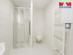 Pronájem bytu 1+1, Janov nad Nisou - Hraničná, 60 m2