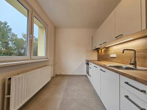 Pronájem bytu 4+1, Liberec, Vlčí vrch, 78 m2